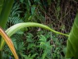 20120821-IMG 7422