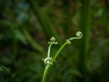 20120821-IMG 7425