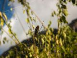 20120821-IMG 7455
