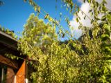 20120821-IMG 7456