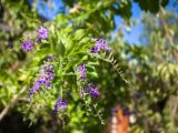 20120821-IMG 7457