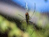 20120821-IMG 7459