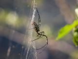20120821-IMG 7462