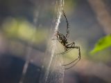 20120821-IMG 7463