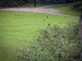 20120821-IMG 7466