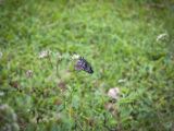 20120821-IMG 7467