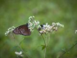 20120821-IMG 7468