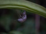 20120821-IMG 7483