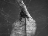 20120821-IMG 7491