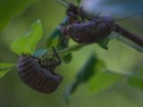 20120821-IMG 7499