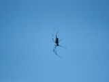 20120821-IMG 7507