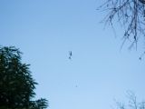20120821-IMG 7508