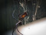 20120821-IMG 7509