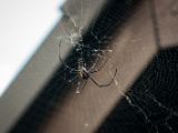 20120821-IMG 7512