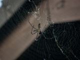 20120821-IMG 7513