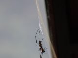 20120821-IMG 7515