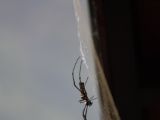 20120821-IMG 7516