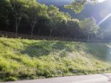 20120821-IMG 7538