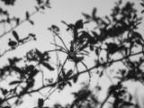 20120821-IMG 7547