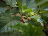 20120821-IMG 7553