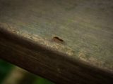 20120821-IMG 7562