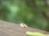 20120821-IMG 7567