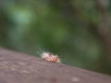 20120821-IMG 7568