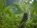 20120821-IMG 7576