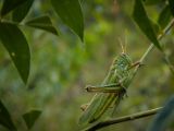 20120821-IMG 7577