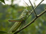 20120821-IMG 7579