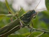 20120821-IMG 7582