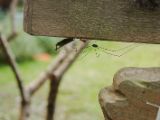 20120821-IMG 7583
