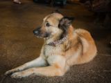 20120821-IMG 7590