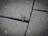 20120821-IMG 7593