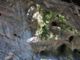 20120822-IMG 7687 : 2012, Taiwan, Taroko Gorge