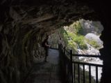 20120822-IMG 7771 : 2012, Taiwan, Taroko Gorge