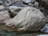 20120822-IMG 7870 : 2012, Taiwan, Taroko Gorge