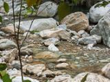 20120822-IMG 7887 : 2012, Taiwan, Taroko Gorge