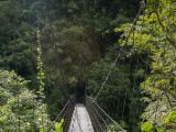 20120822-IMG 7901 : 2012, Taiwan, Taroko Gorge