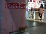 20120823-IMG 8045 : 2012, Taipeh, Taiwan