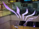 20120826-IMG 8178 : 2012, Airport Taipeh, Taipeh, Taipeh City Hall, Taiwan